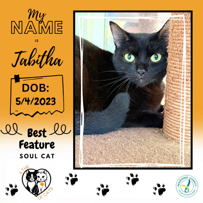 Photo of Tabitha