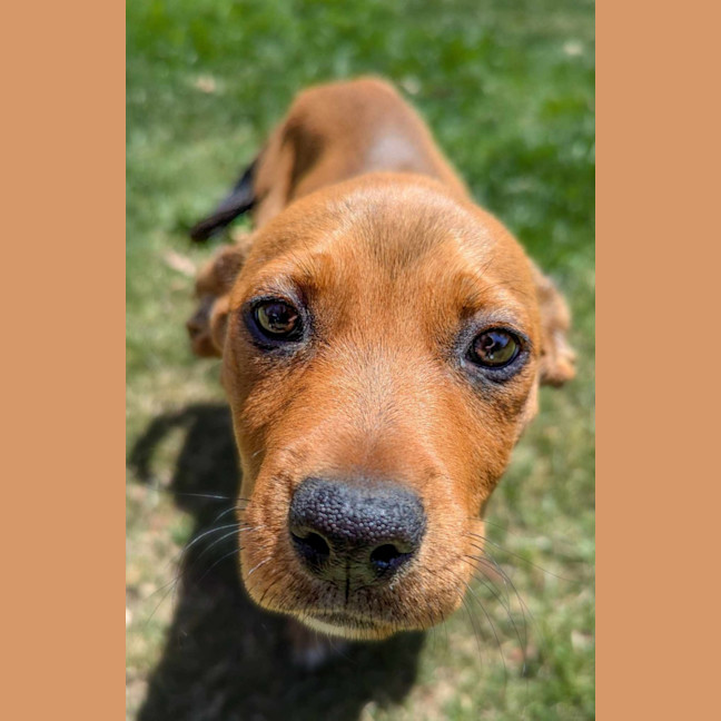 Photo of Annabelle