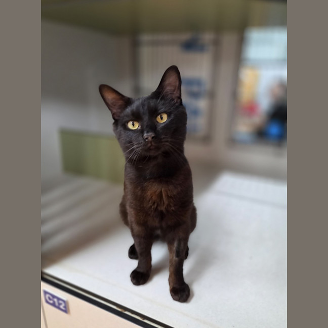 Photo of Elwood