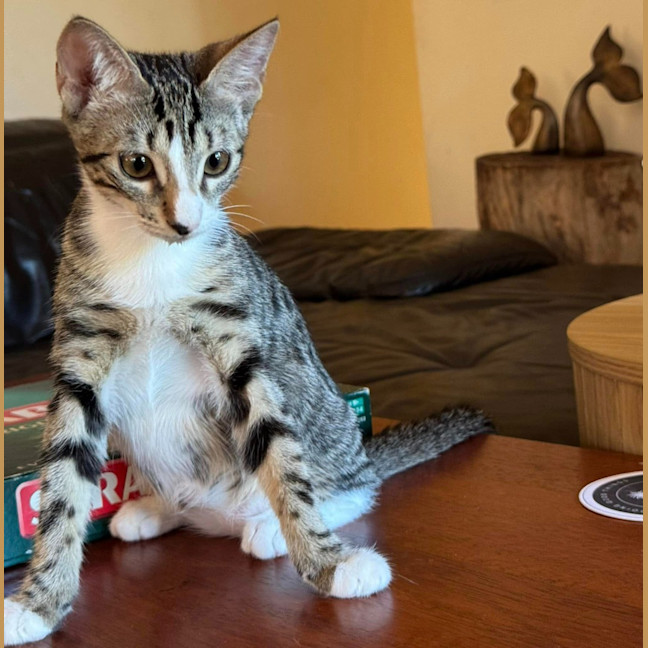 Photo of Winnie