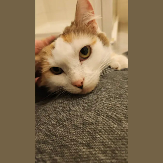 Photo of 💛Cassie💛