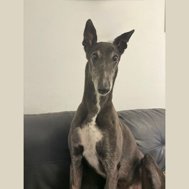 Photo of George