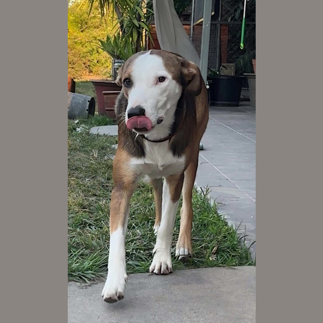 Photo of Turbo