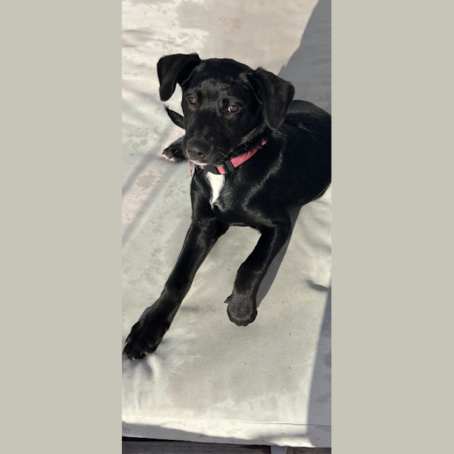 Photo of Maisy