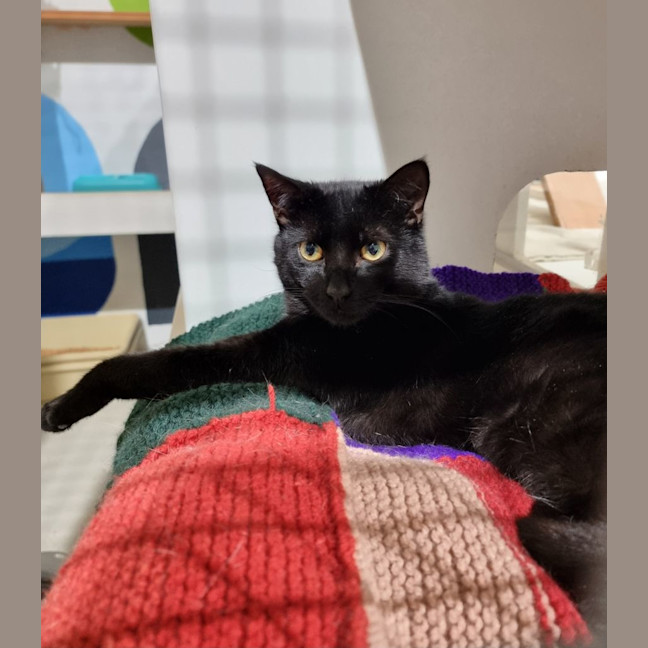 Photo of Jetson