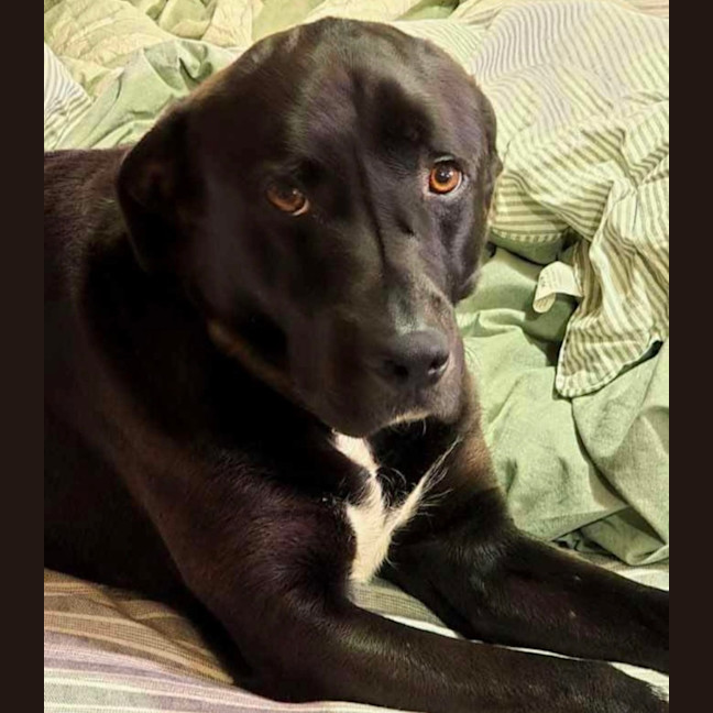 Photo of Murphy