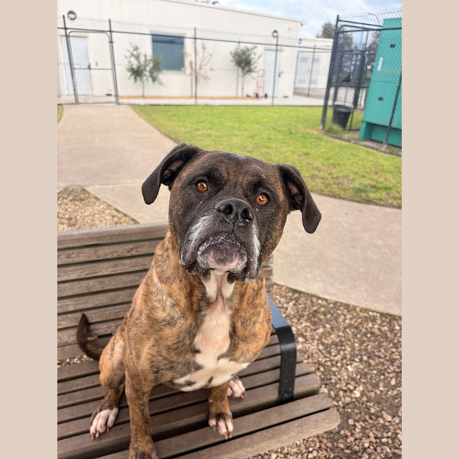 Photo of Cash