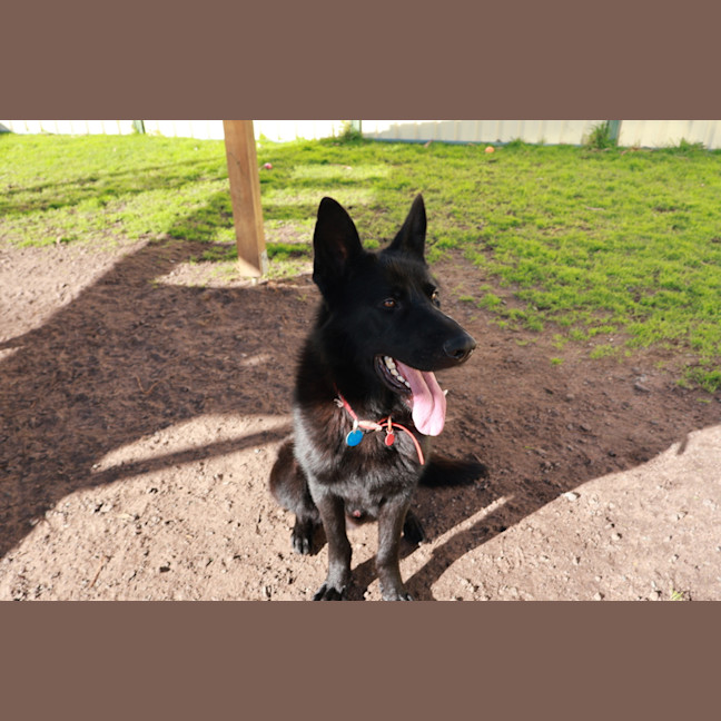 Photo of Odin