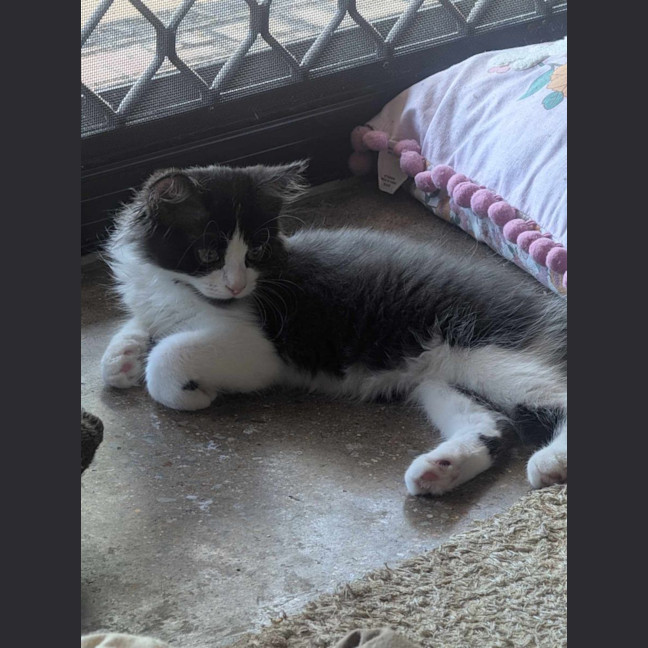 Photo of Minnie