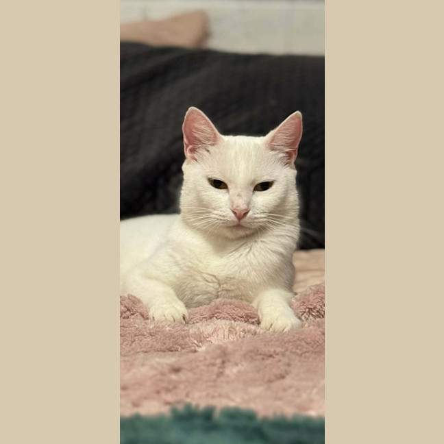 Photo of Jewel