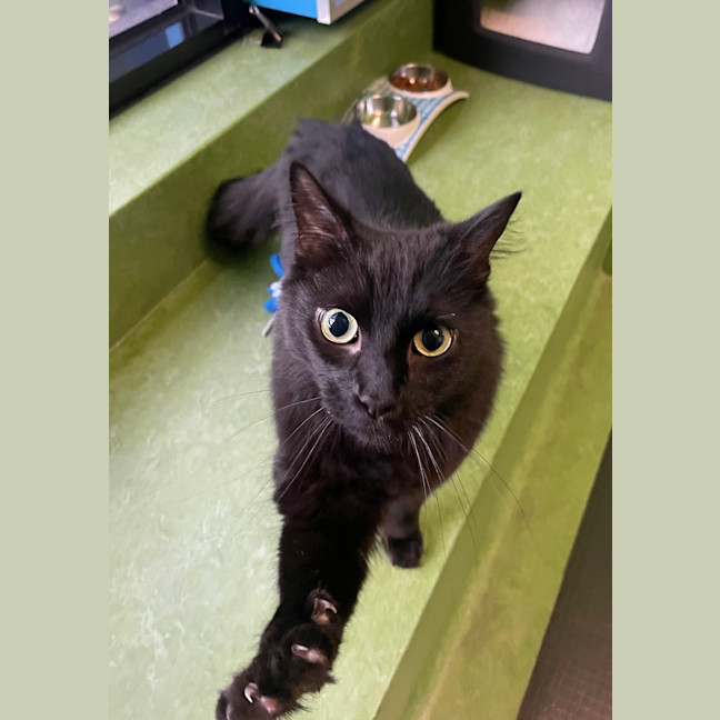 Photo of Zachary Binks