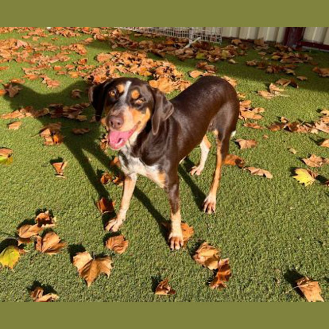 Photo of Tilly