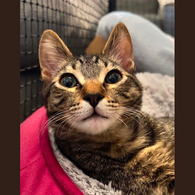 Photo of Simon