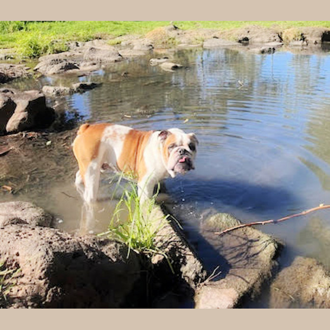 Photo of 👅Gordito👅