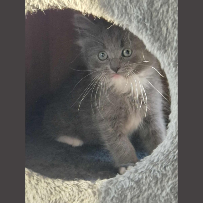 Photo of Roxy