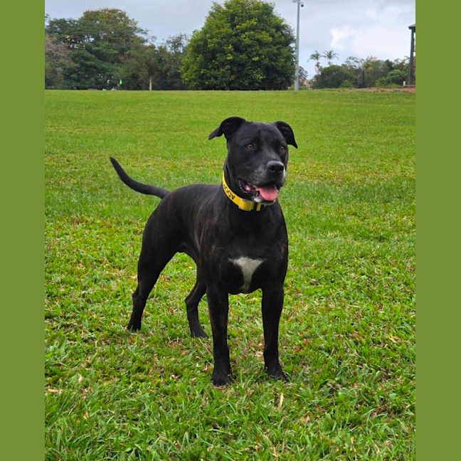 Photo of Ace