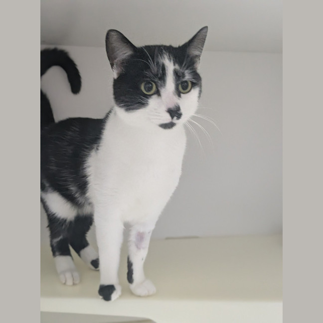 Photo of ⚓ Captain 6688 ⚓