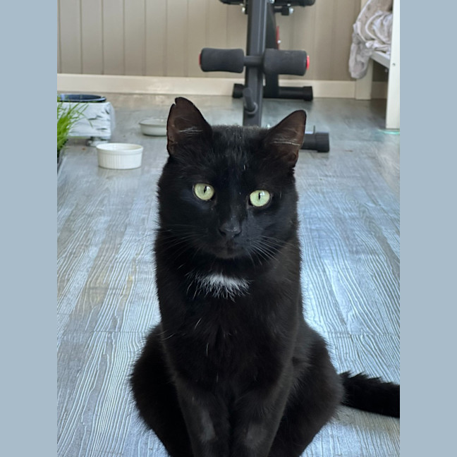 Photo of Tony