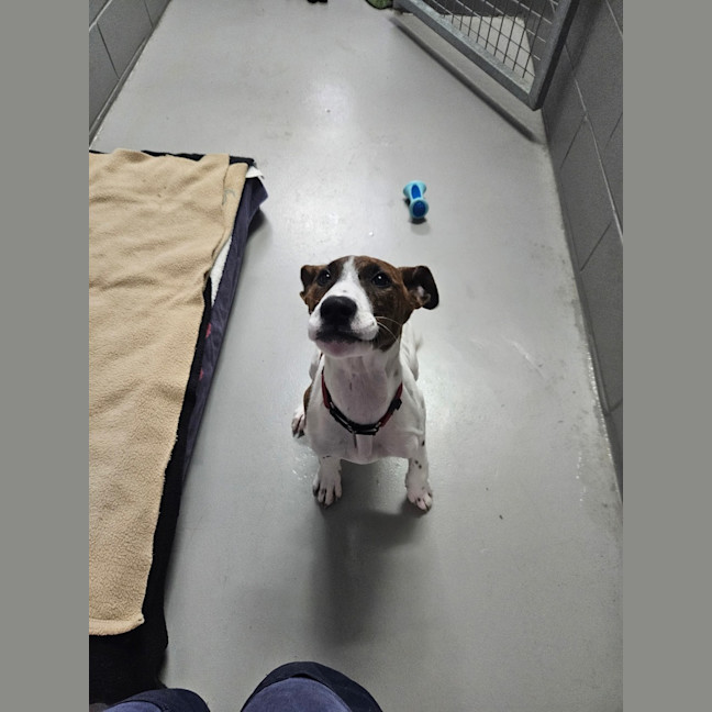 Photo of Maggie