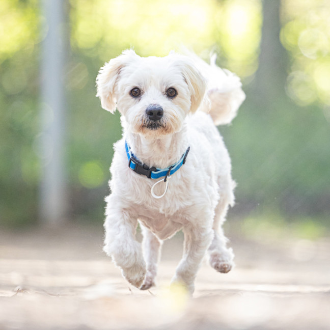 Photo of Benny
