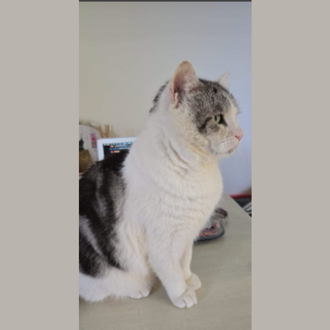 Photo of Dudley