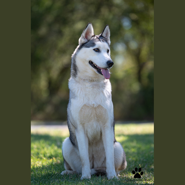 Photo of Crystal