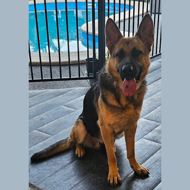 Photo of Shilo