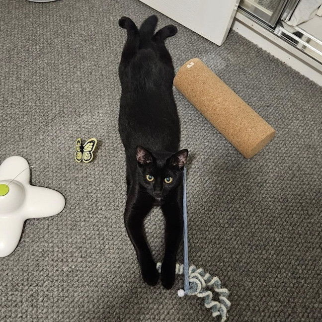 Photo of Halle Berry