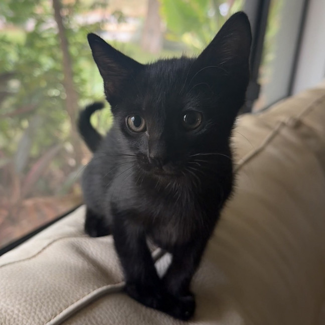 Photo of Mr. Squiggles