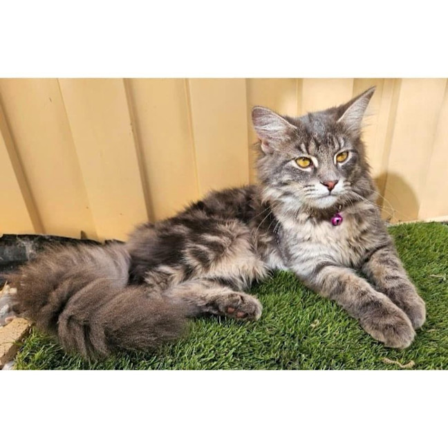 Photo of 12033   Lucy Lou