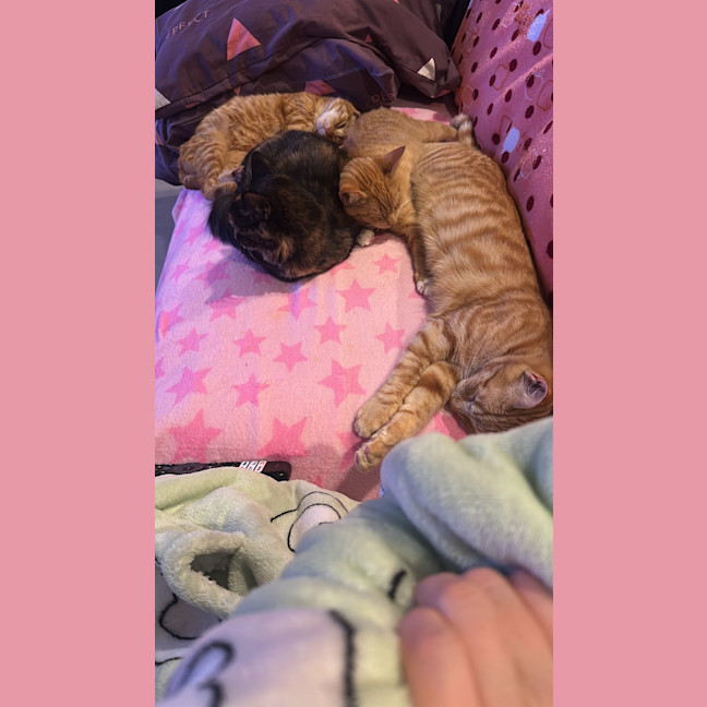Photo of Monte