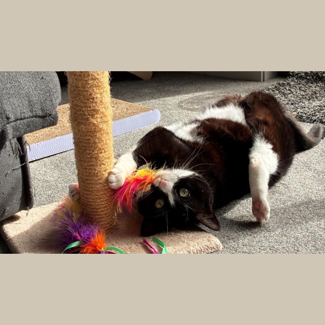 Photo of Penelope Babbington