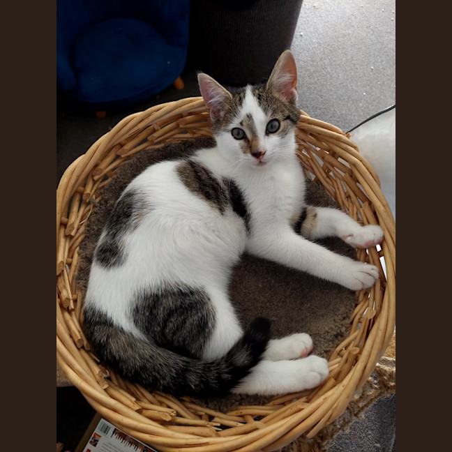 Photo of Richie 💙