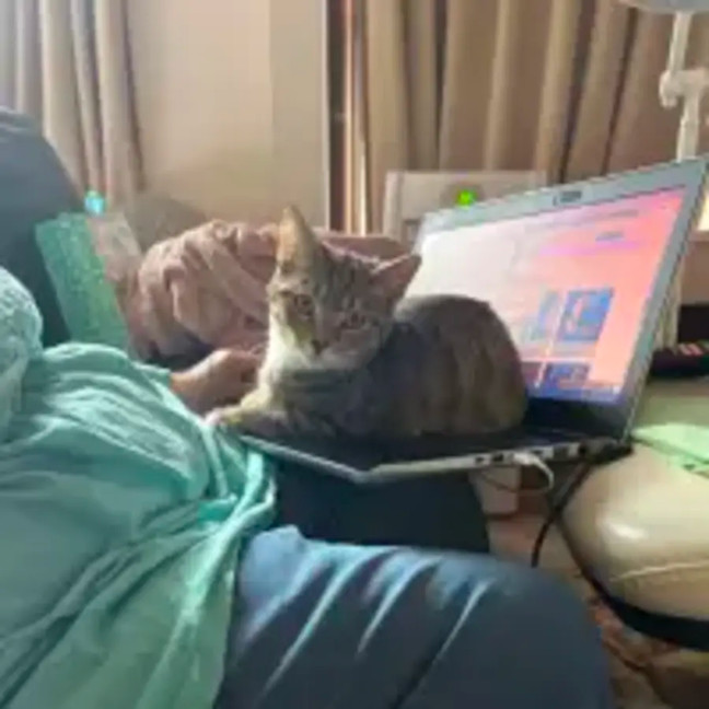 Photo of Enchantress   Bonded With Batman