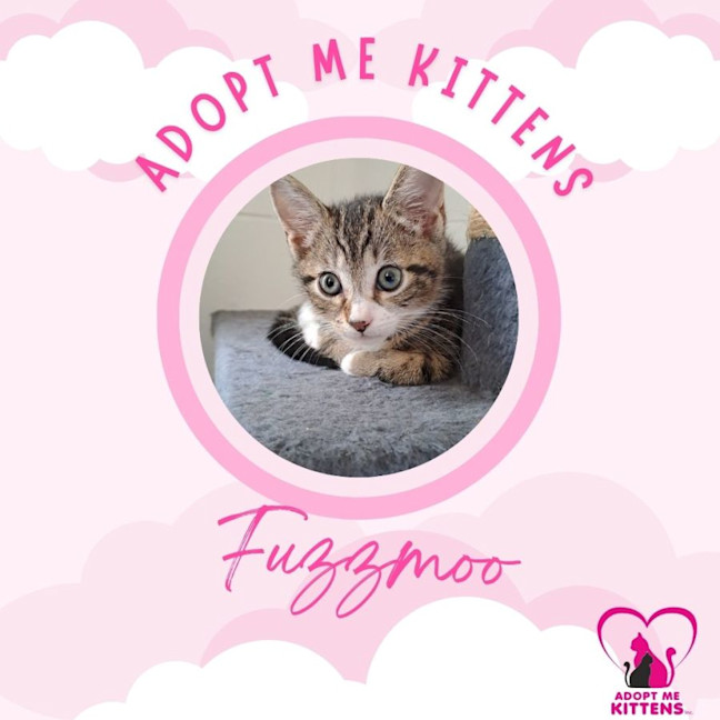 Photo of Fuzzmoo