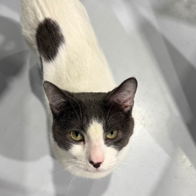 Photo of Pablo 🌟🌴