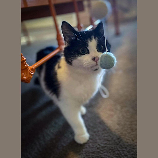 Photo of Maggie