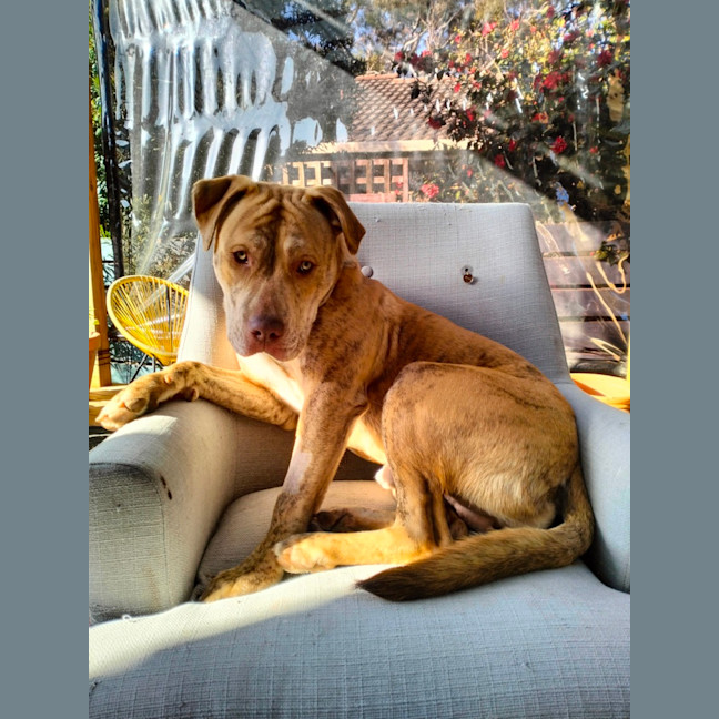 Photo of Theodorable