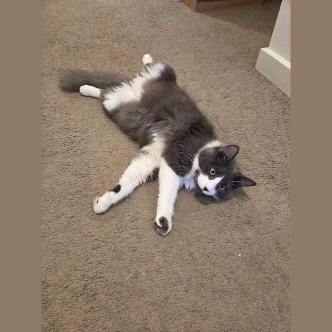 Photo of Yuki