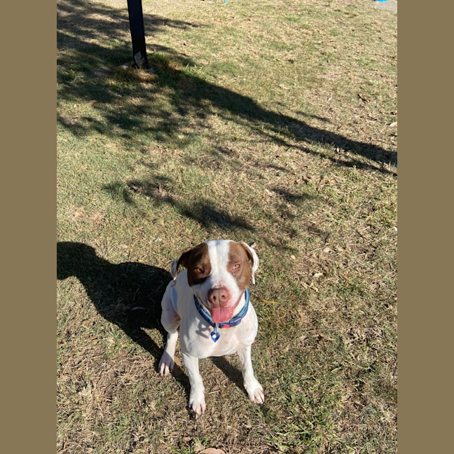 Photo of Duke