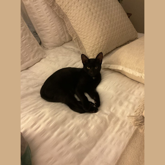 Photo of Sammy