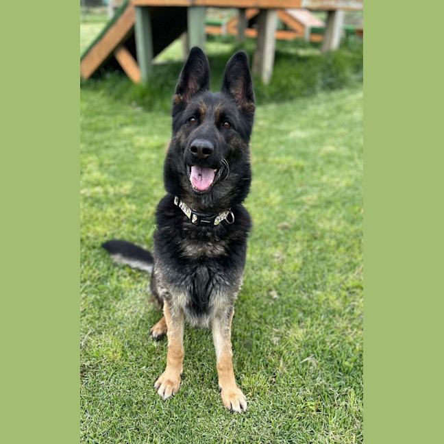 Photo of Luckie