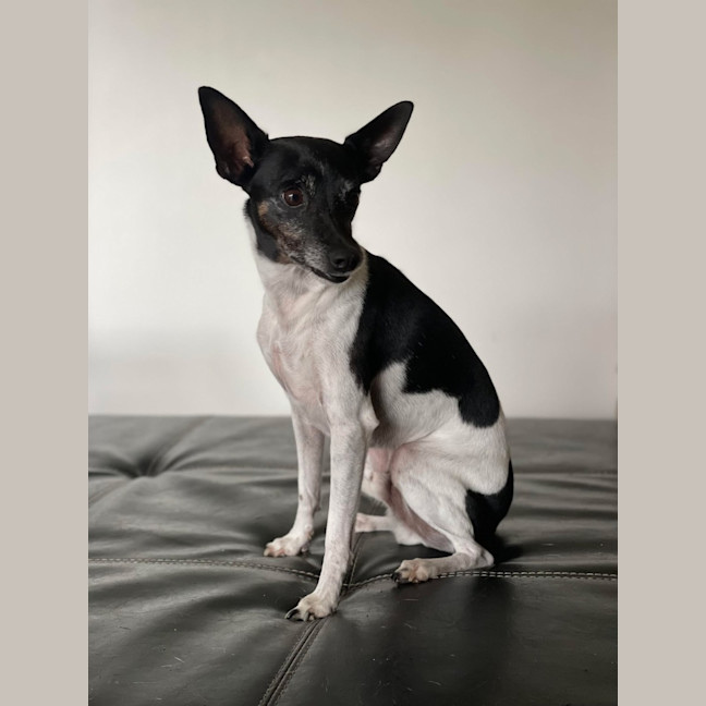 Photo of Tilly And Finn