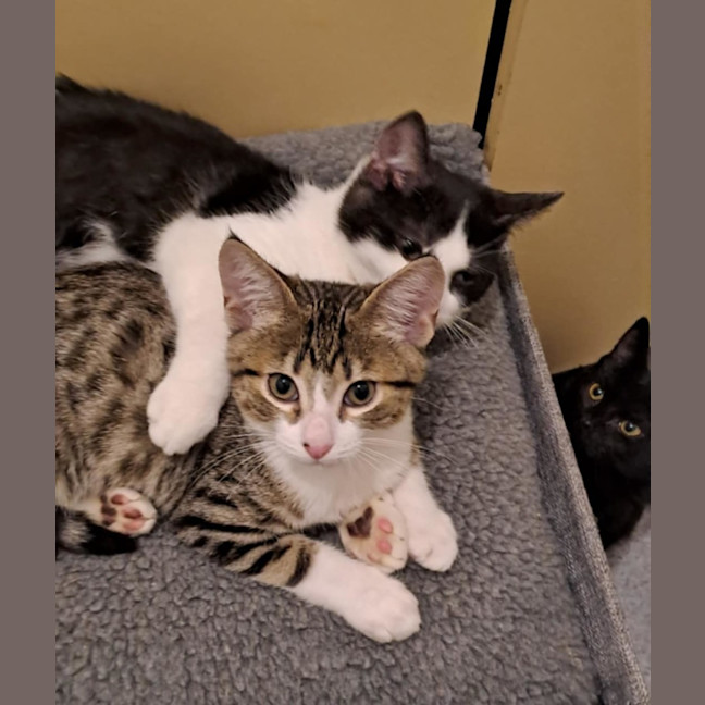 Photo of Everhart & Fairlight