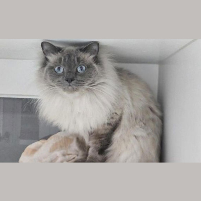 Photo of Tom