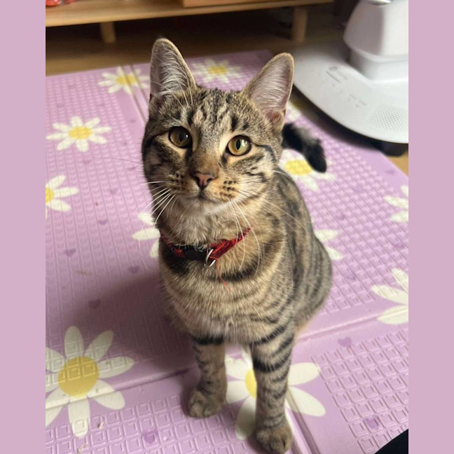 Photo of Tiga & Winnie 