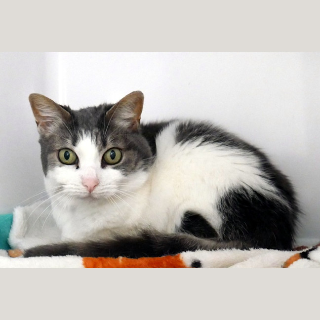 Photo of Billie Sta014800