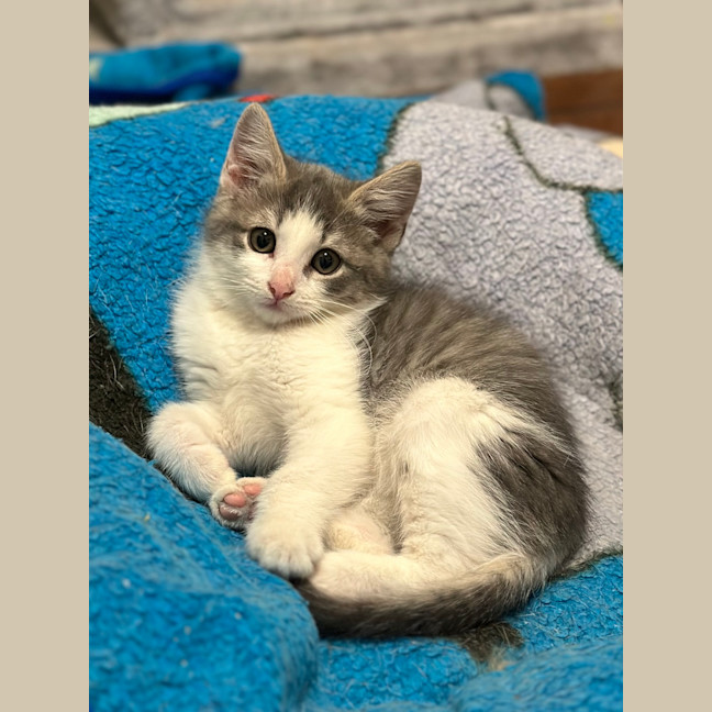 Photo of Stormy
