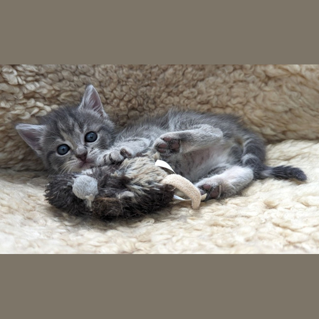 Photo of Hazel