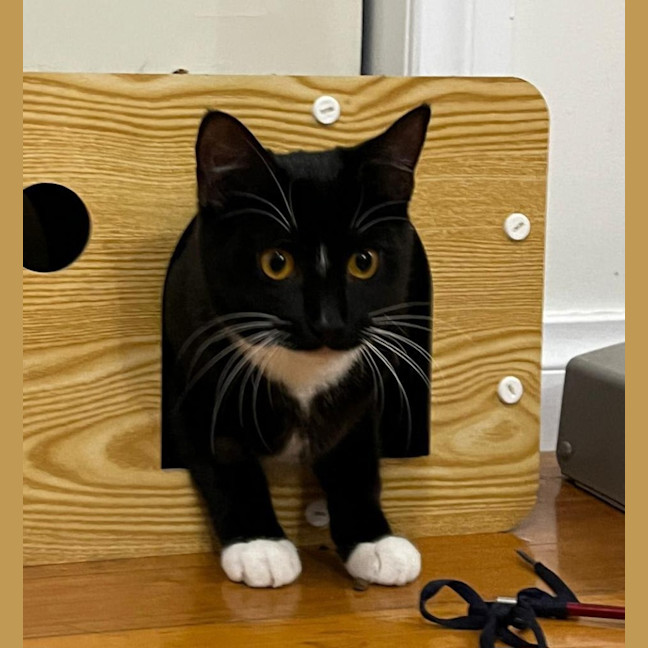 Photo of Luna 